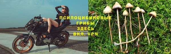 гашиш Сатка