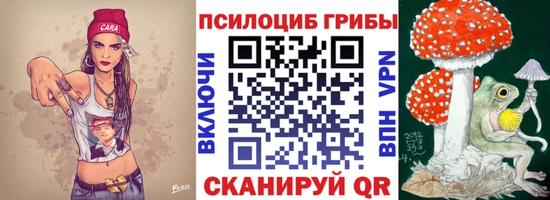 Галлюциногенные грибы Psilocybe  Троицк 