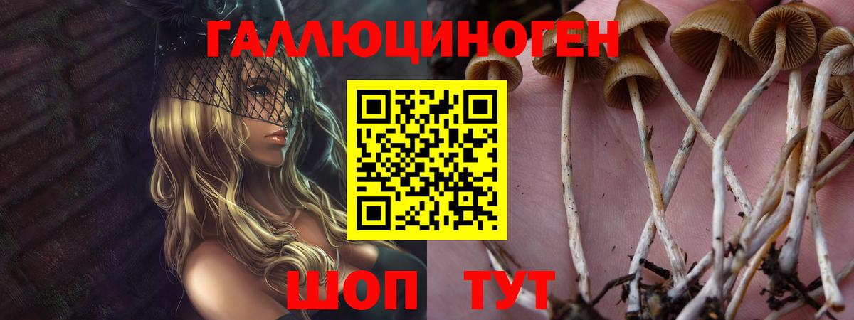 Псилоцибиновые грибы Cubensis  Вход с VPN  Троицк 
